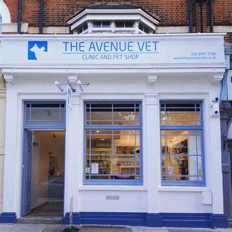 The Avenue Vet .